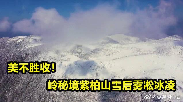 机智问答网页 - 提供智能回答的小仓鼠一天吃几顿最为合适?平台